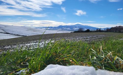 a field of grass with snow and mountains in the background at Dimora in Francigena in San Quirico dʼOrcia