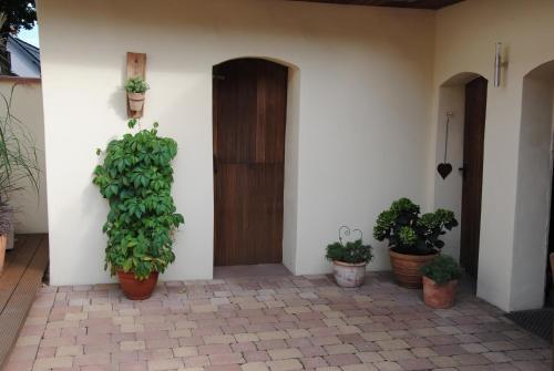 a house with potted plants in front of a door at Glück im Kohlenpott in Bottrop