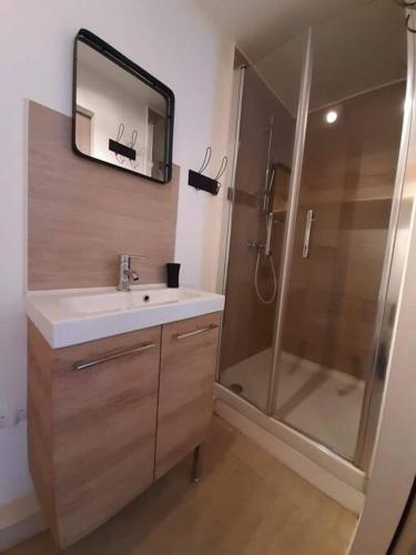 une salle de bain avec un lavabo et une douche avec un miroir dans l'établissement La maisonnette de Suzette, à Lanton