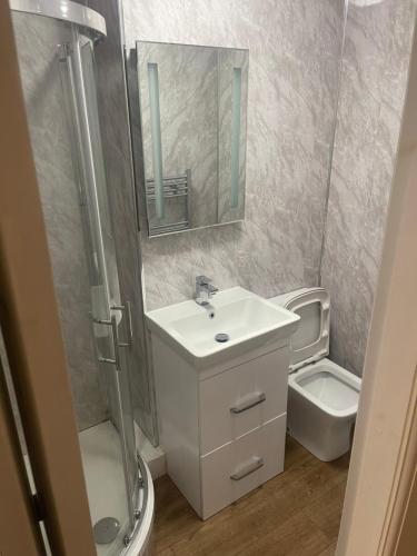 a bathroom with a sink and a shower and a toilet at Anfield accomodation in Liverpool