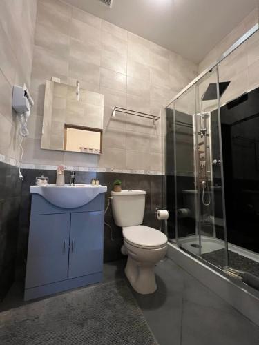 ein Bad mit einem WC, einem Waschbecken und einer Dusche in der Unterkunft Château de Crènille in Chaumes-en-Brie