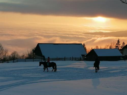 two horses walking in a snow covered field with the sunset at Apartmán Kunst in Kořenov
