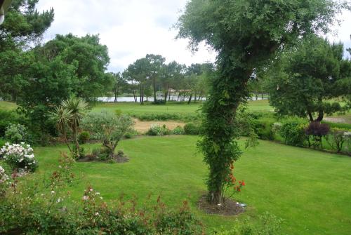 un jardin avec de la pelouse verdoyante, des arbres et un champ dans l'établissement Villa 8 personnes proche d'Hossegor au bord du Golf de Pinsolle, à Soustons