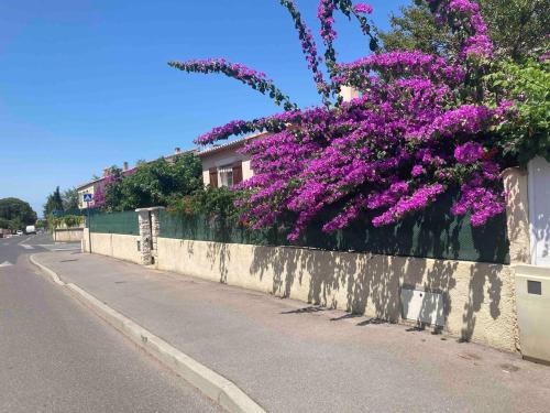 une clôture avec des fleurs violettes sur le côté d'une rue dans l'établissement Chambre Chez Dom et Alain, à Villeneuve-lès-Maguelone