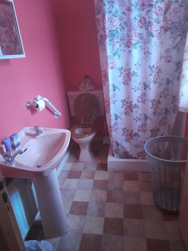 a bathroom with a sink and a toilet and a shower curtain at Granny's cottage, a lovely lakeside cottage in Donegal