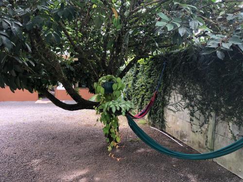 Garden Inn – Photos 2
