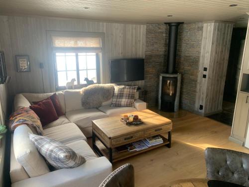 Nymon Mountain Lodge في ستوتِن: غرفة معيشة مع أريكة وطاولة قهوة