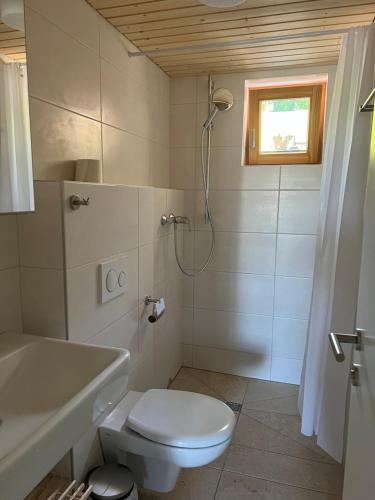 a bathroom with a toilet and a shower and a sink at Kreiers Alp in Hohenems