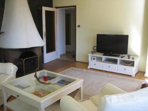 a living room with a fireplace and a tv at Ferienwohnung Fritz in Villach