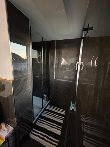 um chuveiro com uma porta de vidro na casa de banho em Ferienwohnung Nella em Paderborn