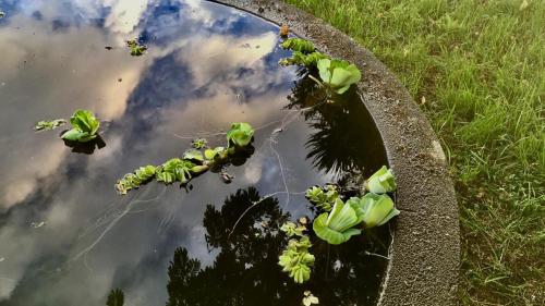 a reflection of the sky in a puddle of water at Casa Às Seis in Angra do Heroísmo