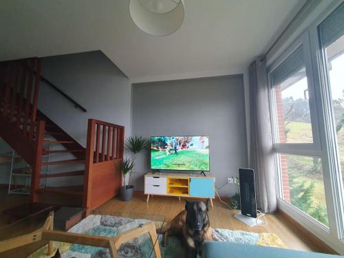 a dog sitting in a living room with a television at Nuevo apartamento de dos plantas in Renedo de Piélagos