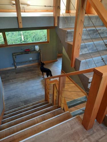 a cat standing in a room with a staircase at Le Bouquet Apart Hotel in San Carlos de Bariloche