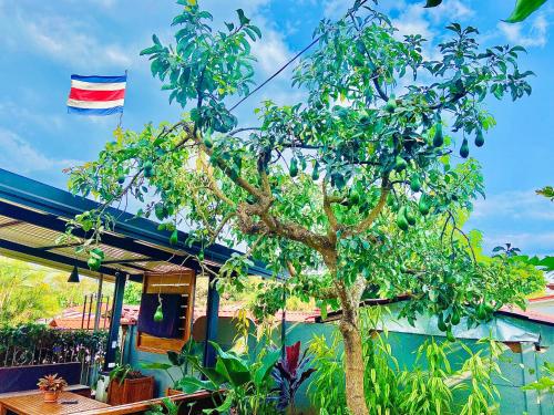a flag flying above a tree in front of a house at Casa Los Madriz Suite #2 in San Isidro