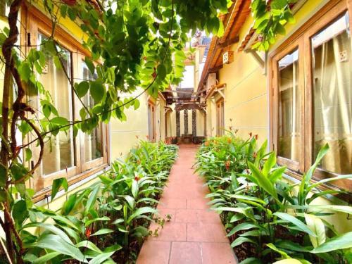un pasillo vacío de un edificio con plantas y ventanas en Liên tho Phú Quốc en Phu Quoc