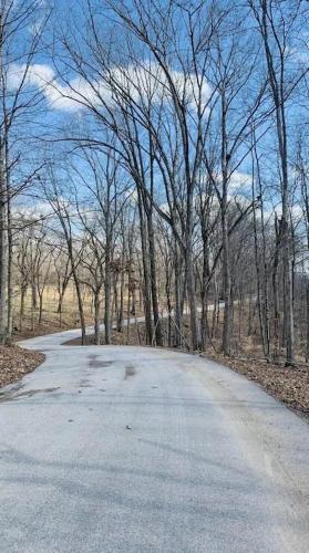 an empty road with trees on either side at Preston Hollow in Bloomington