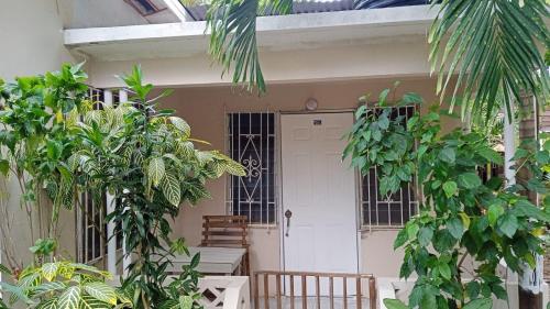 a front door of a house with a bunch of plants at T&T - Tatty and Tony Guesthouse in Negril