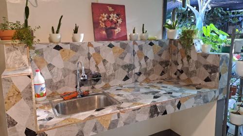 una cucina con lavandino e bancone con piante di Dalindas Homestay a Città di Puerto Princesa