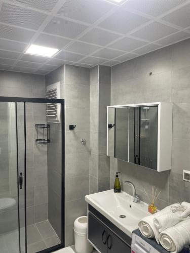 a bathroom with a shower and a sink and a toilet at Suite64 Apartments in Antalya