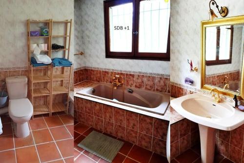 uma casa de banho com uma banheira, um lavatório e um WC. em Provencale House + swimming poll in garden of 1HA em Besse-sur-Issole