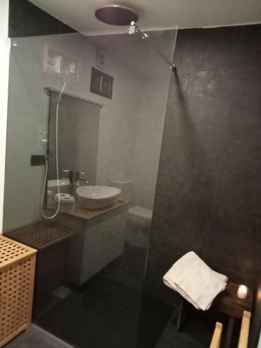 a bathroom with a shower with a sink and a toilet at A Casiña da Ponte in Padrón