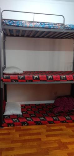 two bunk beds in a room with a wooden floor at bed space for weekly with other guests in Dubai