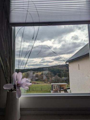 a vase with a flower in a window with a view at Pension Larifari in Drees