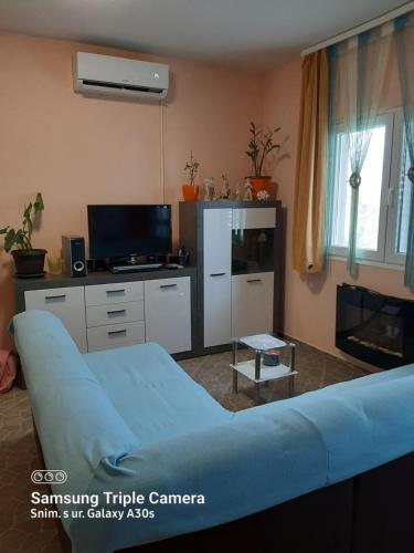 ein Wohnzimmer mit einem blauen Sofa und einem TV in der Unterkunft Villa Vesna, 70m from beach in Karlobag