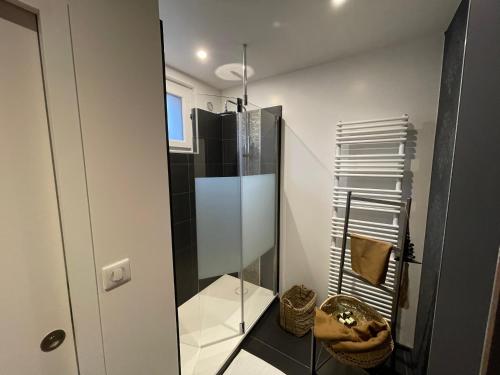uma casa de banho com uma cabina de duche em vidro e um toalheiro. em Très bel appartement T3 centre ville, commerces et gare em Rambouillet
