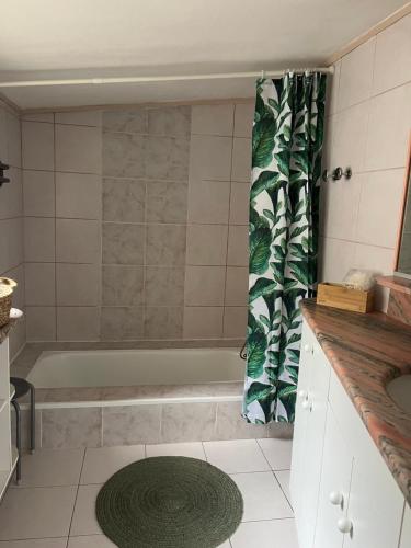 La salle de bains est pourvue d'une baignoire et d'un rideau de douche vert. dans l'établissement Terrasse, panoramique, à Châteauneuf-de-Gadagne
