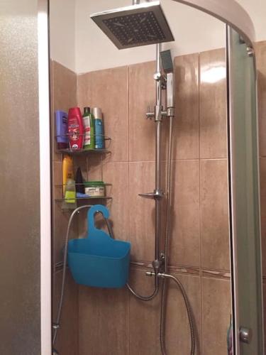 Cute apartman Zen Biograd