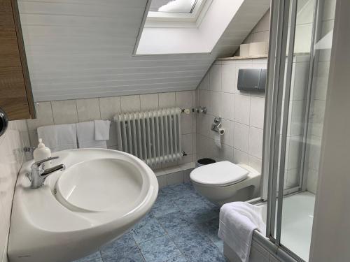 een badkamer met een wastafel en een toilet bij Ferienwohnung Wiesenblick mit Terrasse im Landhaus Fischer in Sankt Andreasberg