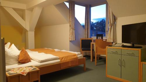 a hotel room with a bed and a television at Hotel Regenbogenhaus in Freiberg