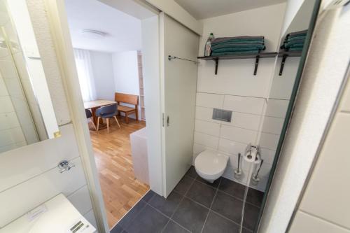 a small bathroom with a toilet in a room at Studio CHic in Niederweningen