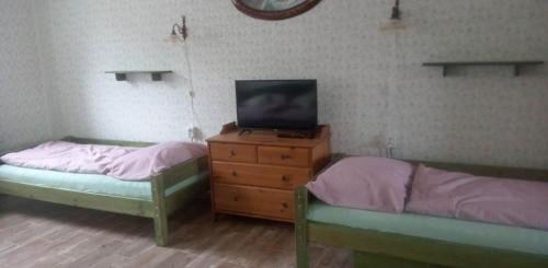 a bedroom with two beds and a tv on a dresser at Restaurace a penzion Ubrousku prostři se in Nová Bystřice