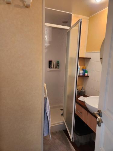 une salle de bain avec douche et lavabo dans l'établissement Mobil home 6 personnes Forêt des landes, à Mimizan