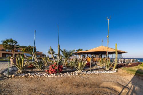 Gallery image of Sentido Akassia Beach in Quseir
