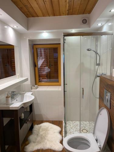 y baño con ducha, aseo y lavamanos. en Chybotek Premium Apartments en Przesieka