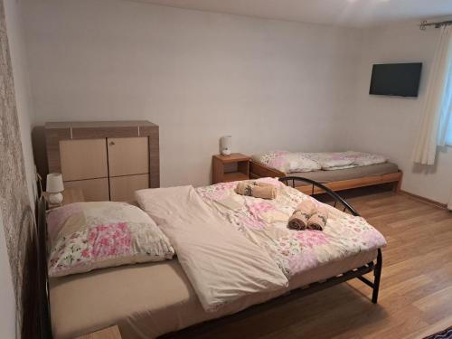 a bedroom with two twin beds and a tv at Mieszkanie na wyłączność in Jeleśnia