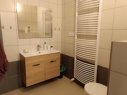 a bathroom with a sink and a toilet and a mirror at TINA Apartments in Černá v Pošumaví