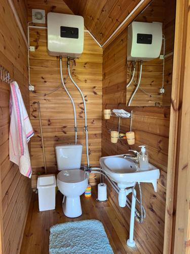 a bathroom with a toilet and a sink at Aadniel's Holiday Village in Aula
