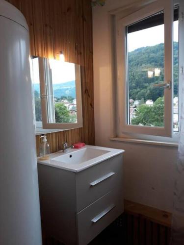 une salle de bain avec un lavabo blanc et une fenêtre dans l'établissement Bel appartement 6 personnes proche La Bresse, à Cornimont