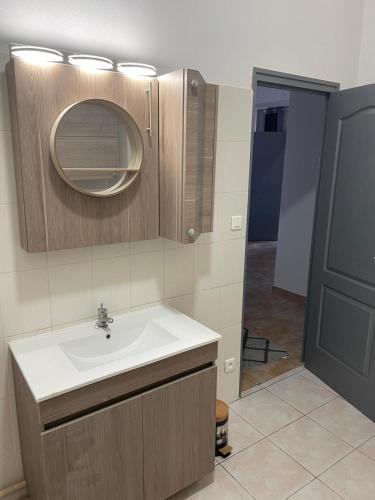 une salle de bain avec un lavabo et un miroir dans l'établissement Château Japy Appartement La Chappelle, à Dasle