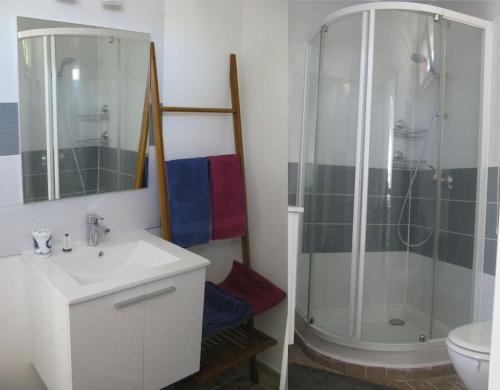 a bathroom with a shower and a sink and a toilet at maisonette cosy Blois in Blois