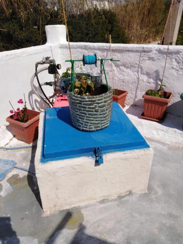 a basket on top of a table with some plants at Η ΑΝΕΣΗ in Agia Anna Naxos