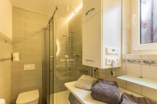 ein Bad mit einer Dusche, einem WC und einem Waschbecken in der Unterkunft Am Horumertief in Wangerland