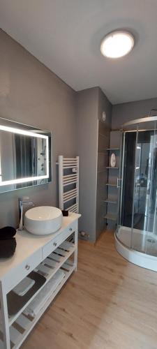 a bathroom with a sink and a large mirror at charmant & relaxant F3 in Thaon-les-Vosges