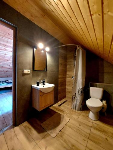 a bathroom with a white toilet and a sink at Do Słońca in Ropienka