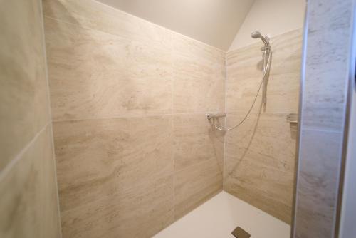 um chuveiro com uma porta de vidro na casa de banho em Apartment Henriette em Oranienbaum-Wörlitz