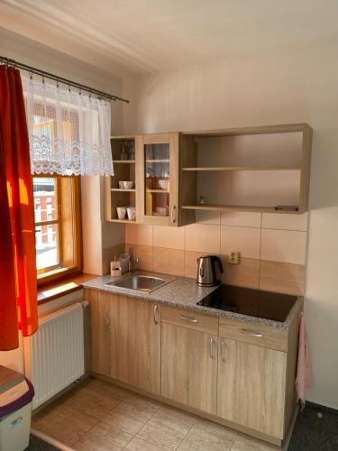 een keuken met houten kasten, een wastafel en een raam bij Pension Bystřenka in Špindlerův Mlýn